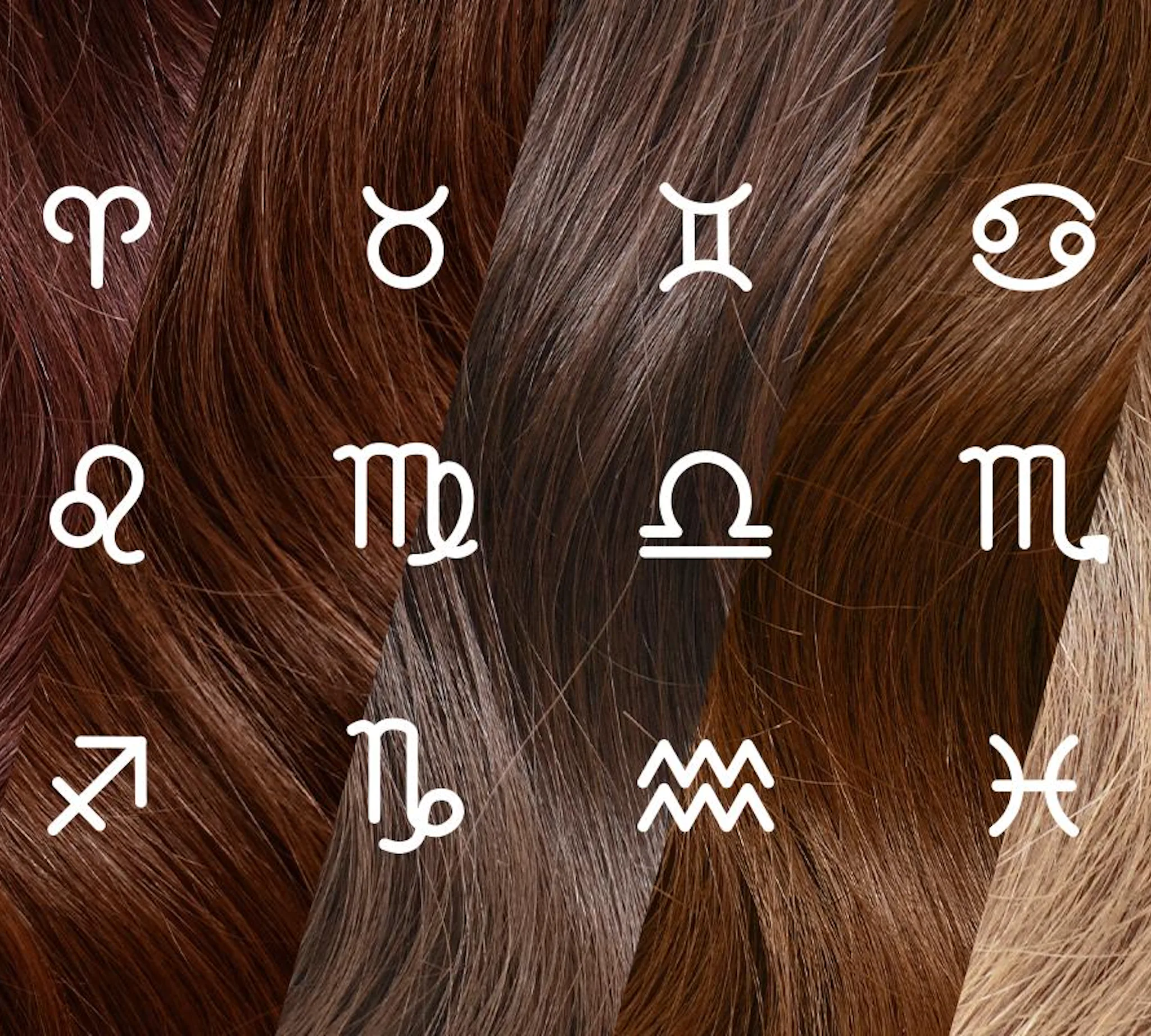If your zodiac sign was a hairstyle